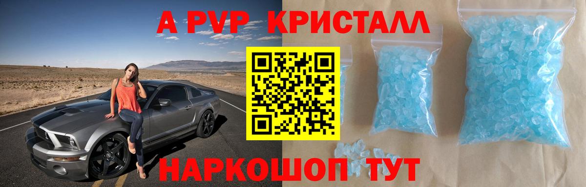 Альфа ПВП СК  A PVP СК КРИС  Грозный  закладка  Вход с VPN  A PVP СК КРИС 