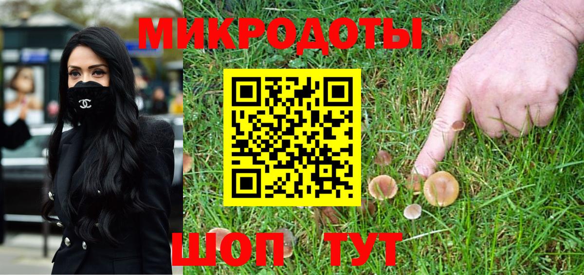 Псилоцибиновые грибы MAGIC MUSHROOMS  Вход с VPN  как найти   Грозный 
